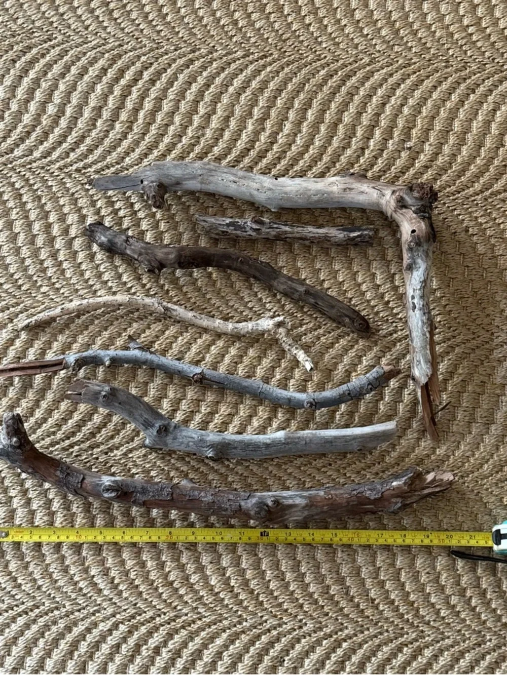 Natural Driftwood Bundle of 7 Neutral Wood South Florida Beach Wedding Decor